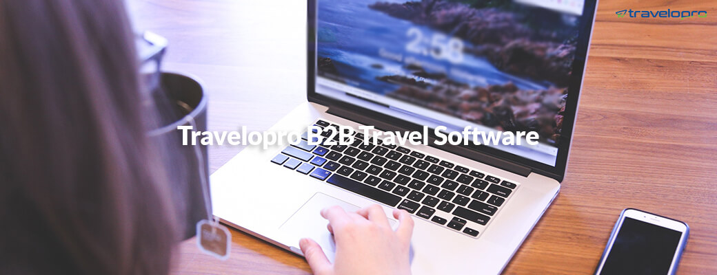 B2B Travel Software