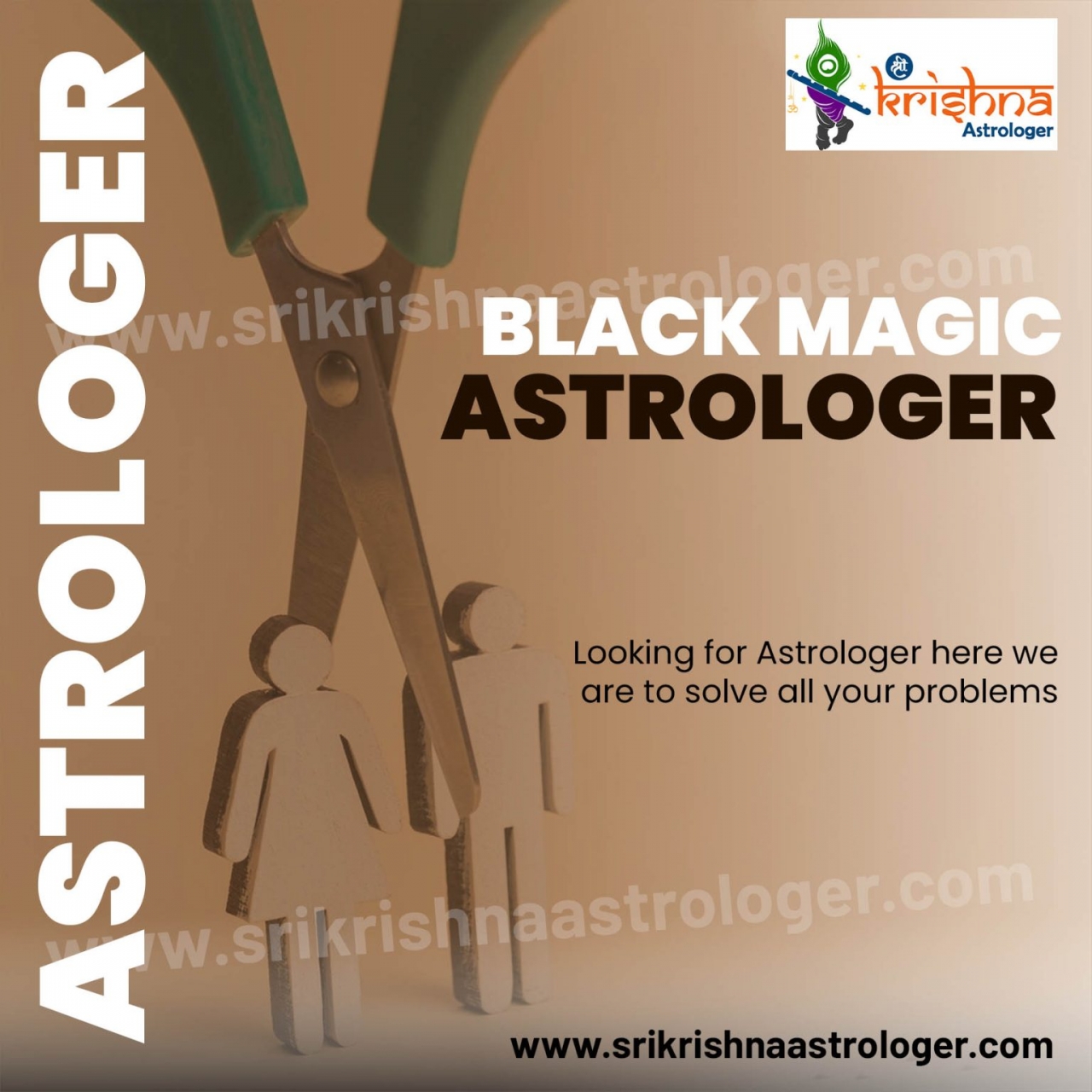 Black Magic Astrologer in Thrissur - Kochi