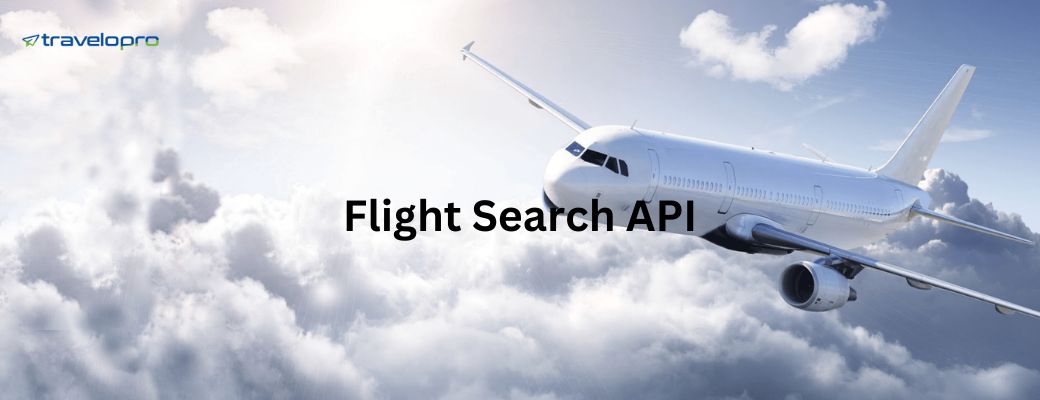 Flight Search API