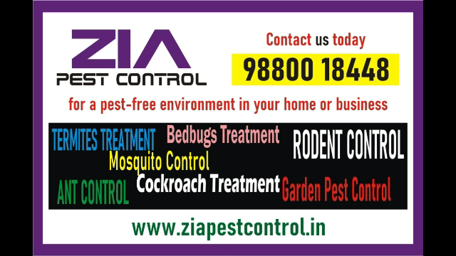 Pest control Service near me  | 50% Off for PG and Restaurants  | 2086 |  - Bangalore