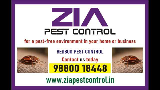 Bedbug Pest Control | Upto 35% Off  | 3075 | effective bedbug treatment - Bangalore