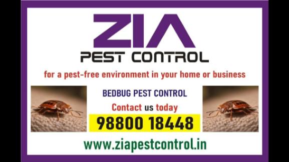 Bed Bug pest Treatment | Hotels and Restaurents | bedbugs Control | 6002 - Bangalore