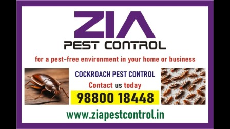 Specialist in Pest Control services | Cockroach service Upto 50% Off |  2090 - Bangalore