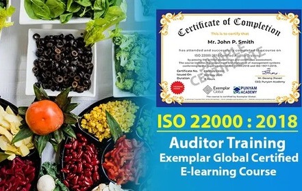 ISO 22000 Auditor Training Online