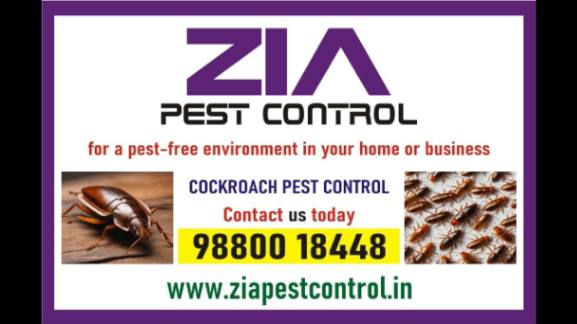 Zia Pest Control | Cockroach pest control cleaning services | 6023 - Akola