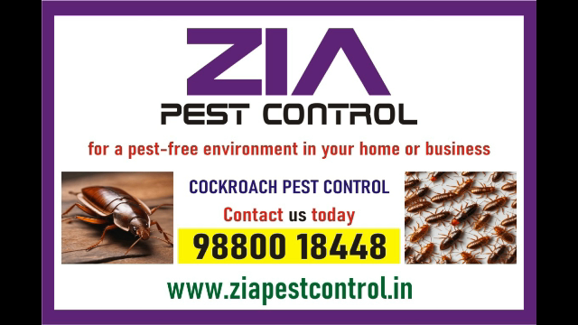 Zia Pest Control Bangalore | Specail Discount for Cockroach service | 4008  - Bangalore