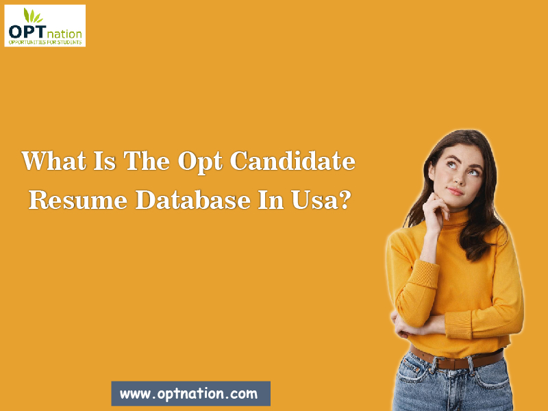 What is The OPT Candidates Resumes Database in USA? - Gurgaon