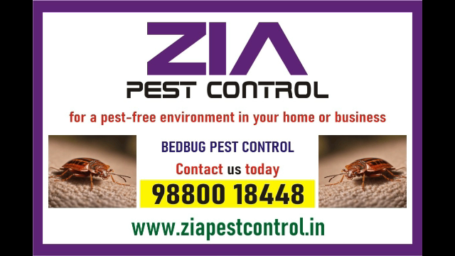 Zia Pest control | Bedbug Treatment | Rodent | 1981 Bedbugs service - Bangalore