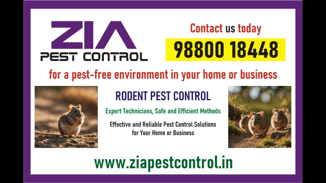 Cockroach Treatment | Appartments | School | Hotels | 2086 | PG - Bangalore