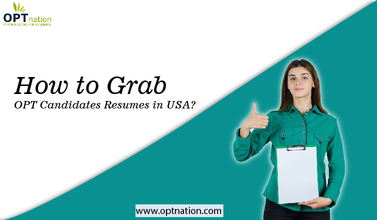 How to Grab OPT Candidates Resumes in USA? OPTnation - Gurgaon